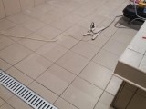 Капитальный ремонт общественной бани — фото 36
